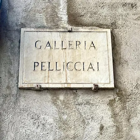 Domus Pellicciai بيت ضيافة فيرونا